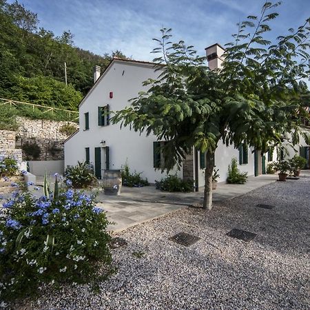 Baone Agriturismo Le Volpi מראה חיצוני תמונה